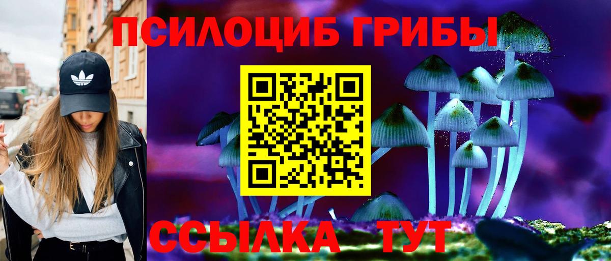 Псилоцибиновые грибы MAGIC MUSHROOMS Аша