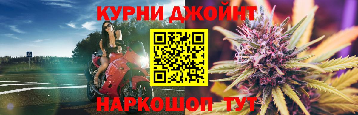 Аша  Каннабис OG Kush  Канабис планчик  Вход с VPN 